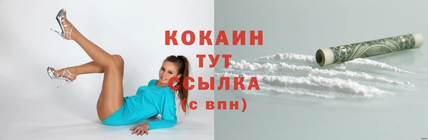 гидра Абаза