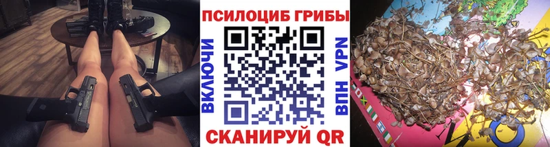 Псилоцибиновые грибы Psilocybine cubensis  Тейково 